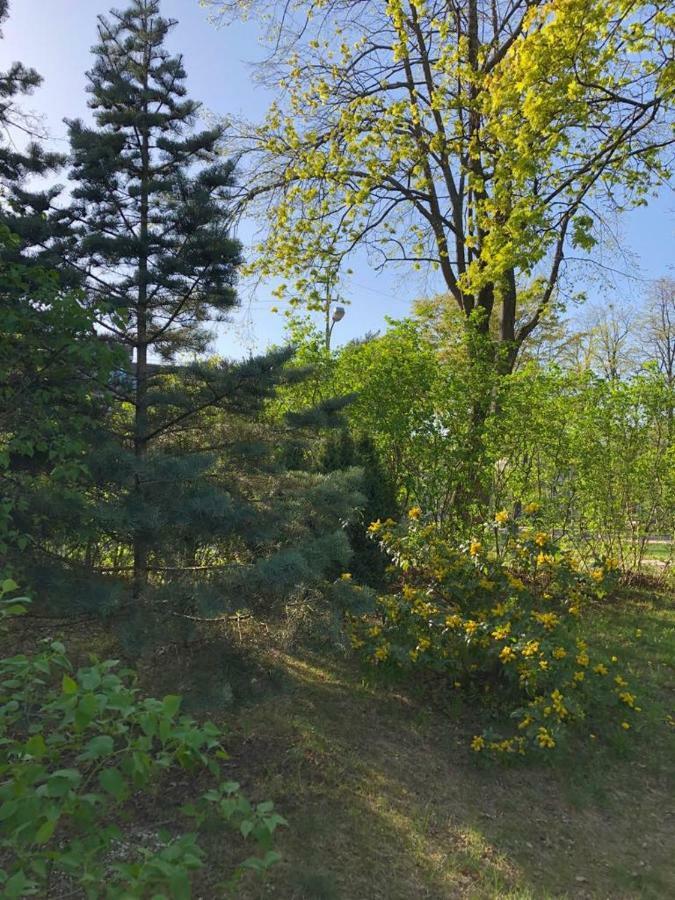 Vila BOHEMA Palanga - 4 apartamentų vila Kestučio g. 11 Hotel Bagian luar foto