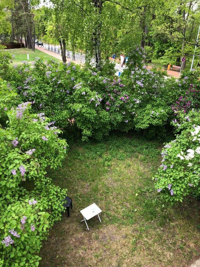 Vila BOHEMA Palanga - 4 apartamentų vila Kestučio g. 11 Hotel Bagian luar foto
